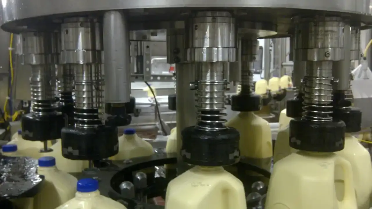 Dairy Heads on a Fogg 700 series capper